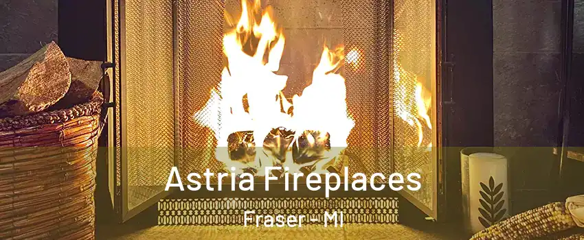  Astria Fireplaces Fraser - MI