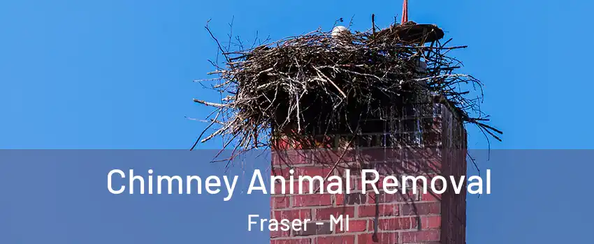  Chimney Animal Removal Fraser - MI