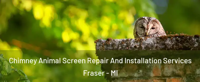  Chimney Animal Screen Repair And Installation Services Fraser - MI
