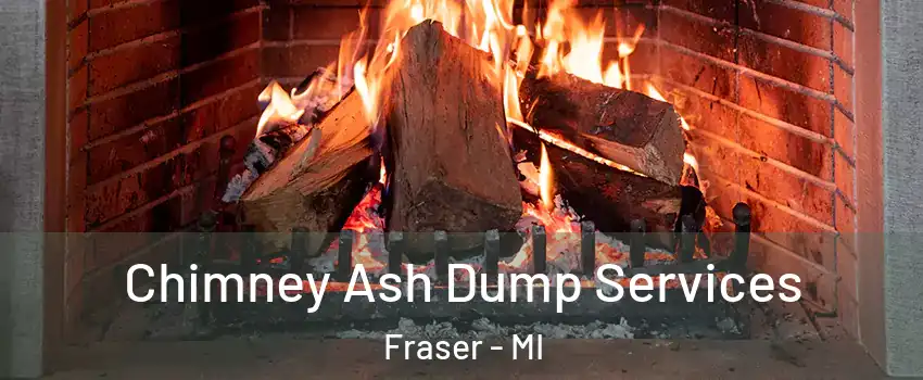  Chimney Ash Dump Services Fraser - MI