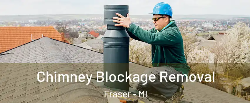  Chimney Blockage Removal Fraser - MI