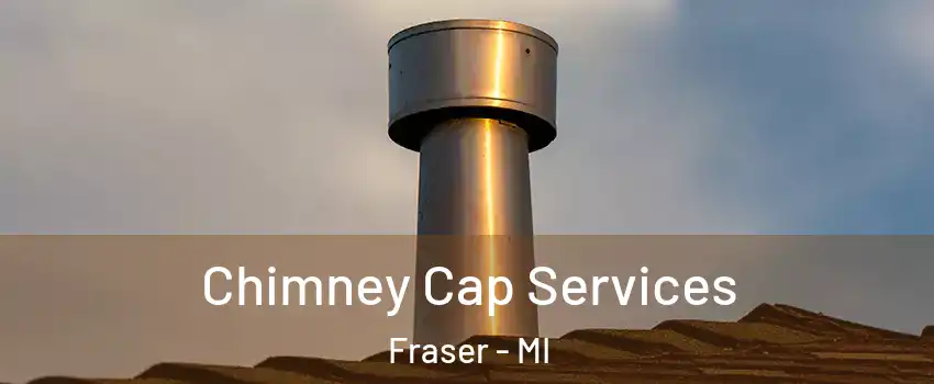  Chimney Cap Services Fraser - MI