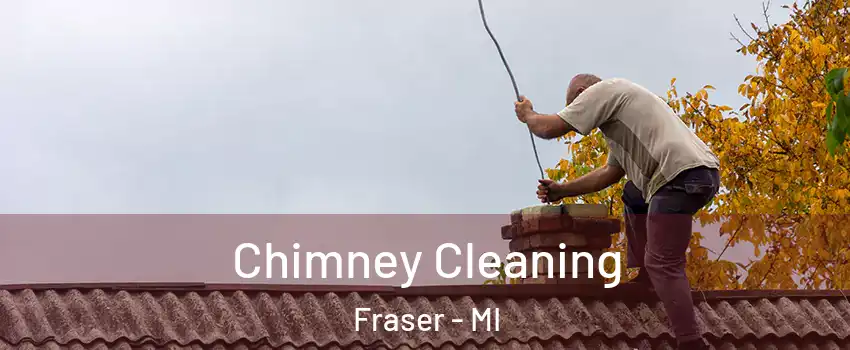  Chimney Cleaning Fraser - MI
