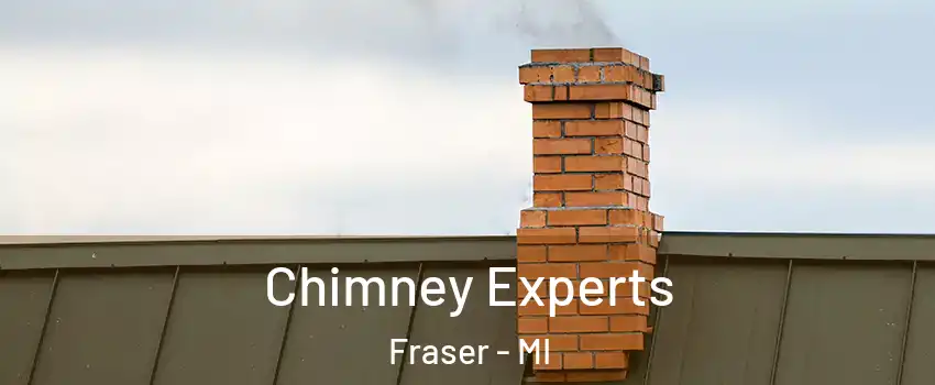  Chimney Experts Fraser - MI