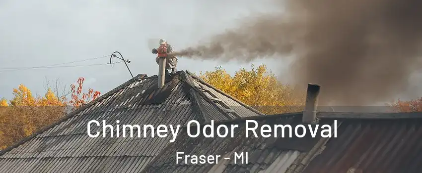  Chimney Odor Removal Fraser - MI
