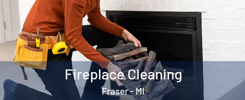  Fireplace Cleaning Fraser - MI
