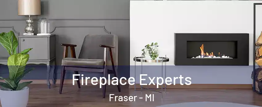  Fireplace Experts Fraser - MI