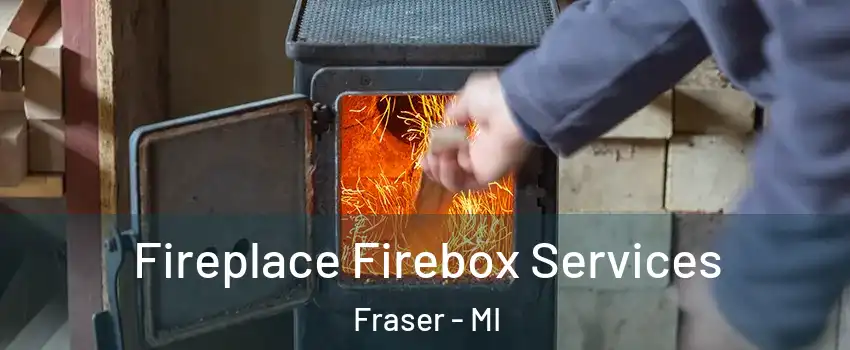  Fireplace Firebox Services Fraser - MI
