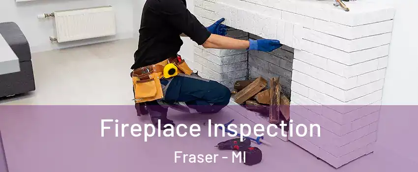  Fireplace Inspection Fraser - MI