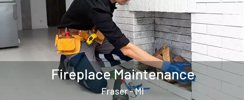  Fireplace Maintenance Fraser - MI