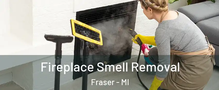 Fireplace Smell Removal Fraser - MI
