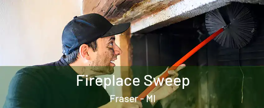 Fireplace Sweep Fraser - MI
