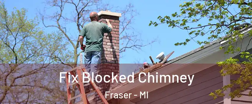  Fix Blocked Chimney Fraser - MI