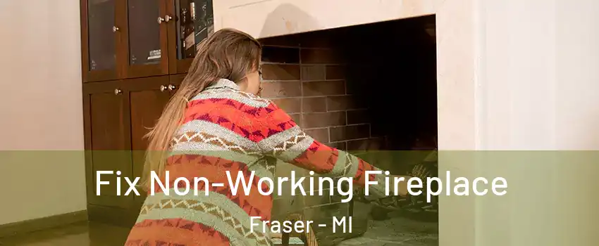  Fix Non-Working Fireplace Fraser - MI