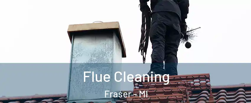  Flue Cleaning Fraser - MI