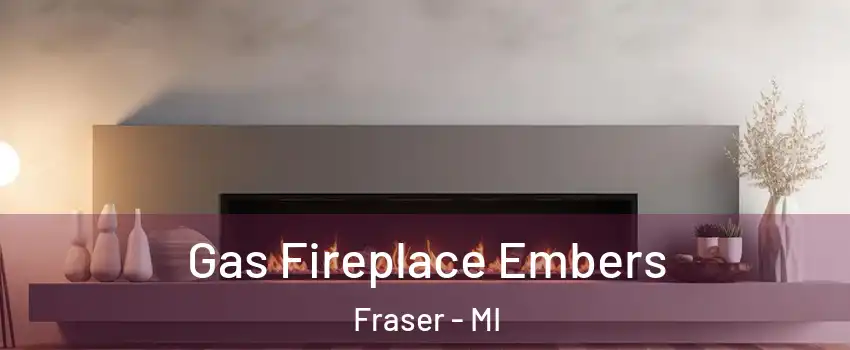  Gas Fireplace Embers Fraser - MI