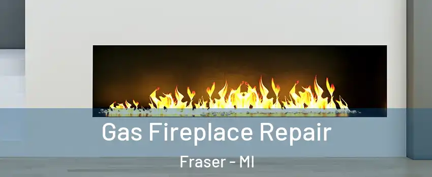  Gas Fireplace Repair Fraser - MI