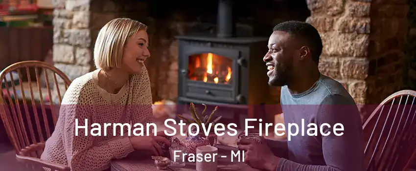  Harman Stoves Fireplace Fraser - MI
