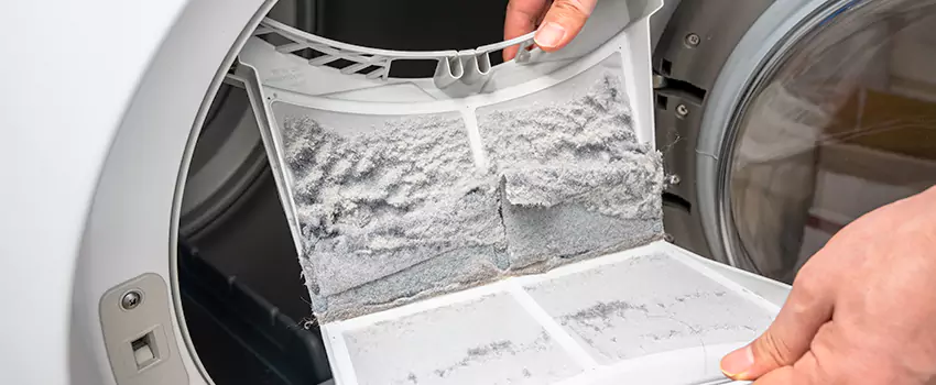 Best Dryer Lint Removal Company in Fraser, Michigan