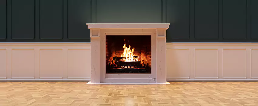 Napoleon Electric Fireplaces Inspection Service in Fraser, Michigan