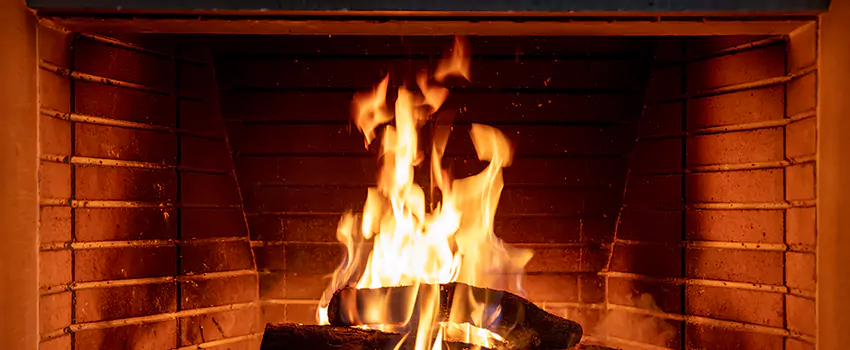 Soot Cleanup Services in Fraser, MI