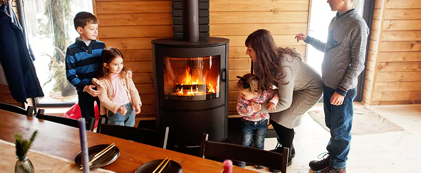Jøtul Gas Fireplace Inspection Service in Fraser, Michigan