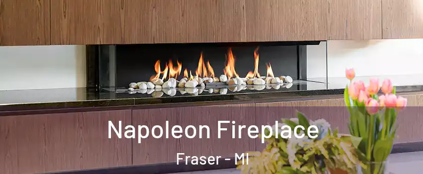  Napoleon Fireplace Fraser - MI