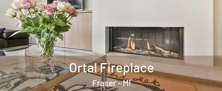  Ortal Fireplace Fraser - MI