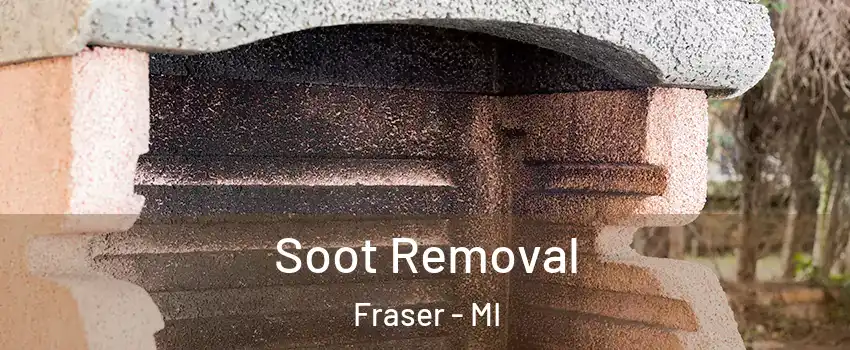  Soot Removal Fraser - MI