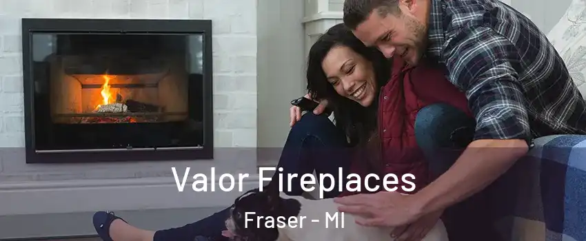  Valor Fireplaces Fraser - MI