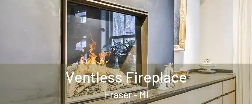 Ventless Fireplace Fraser - MI